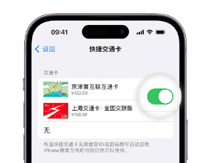 明山apple维修点分享iPhone上更换Apple Pay快捷交通卡手绘卡面 