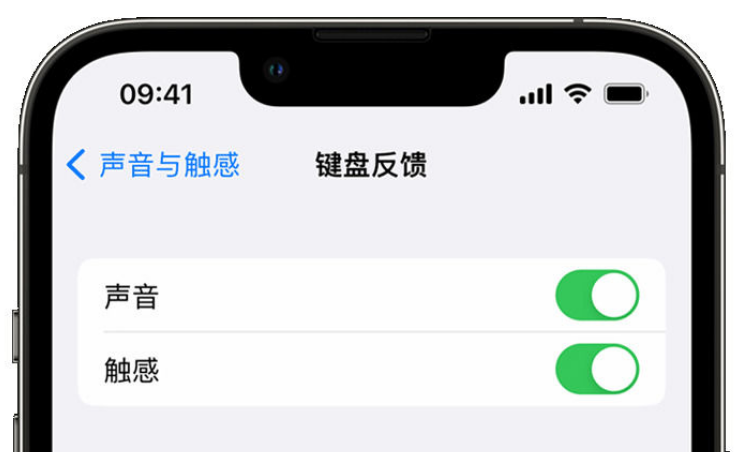 明山苹果手机维修分享iPhone 14触感键盘使用方法 