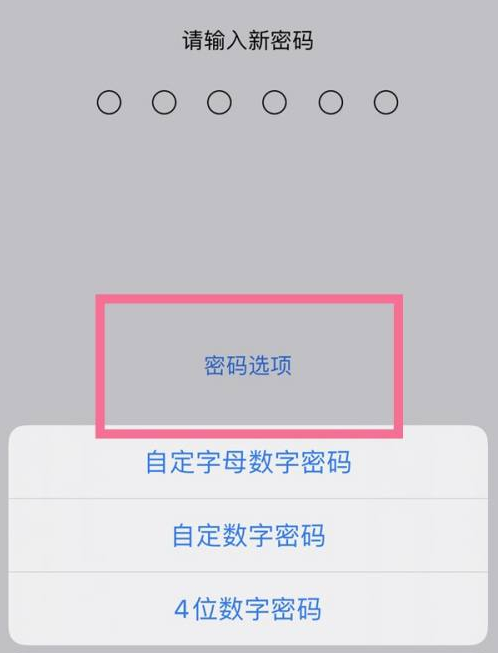 明山苹果14维修分享iPhone 14plus设置密码的方法 